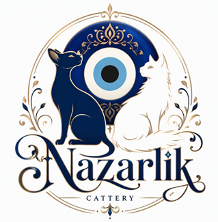 Nazarlik Oriental Shorthairs & Turkish Angoras